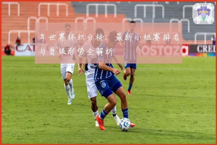 年世界杯积分榜：最新小组赛排名与晋级形势全解析
