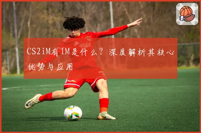 CS2iM有IM是什么？深度解析其核心优势与应用